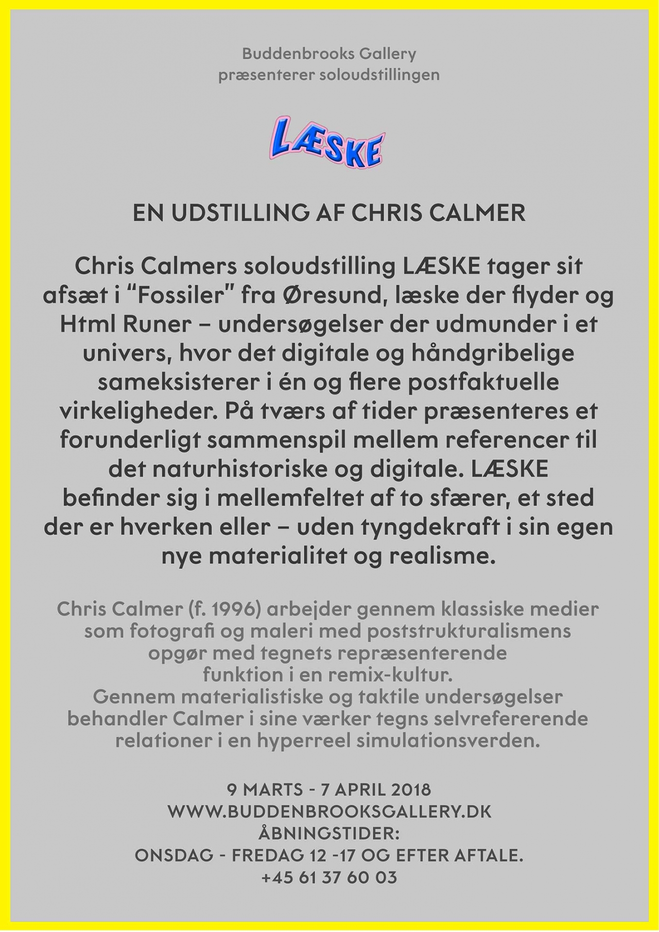 CHRIS CALMER LÆSKE · SOLO EXHIBITION · BUDDENBROOKS GALLERY · COPENHAGEN